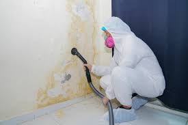 Why You Should Choose Our Mold Remediation Services in Jonesboro, IL